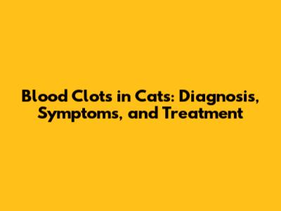 Blood Clots in Cats: Diagnosis, Symptoms, and Treatment
