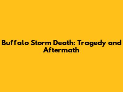Buffalo Storm Death: Tragedy and Aftermath