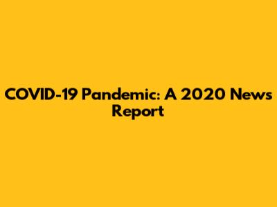 COVID-19 Pandemic: A 2020 News Report