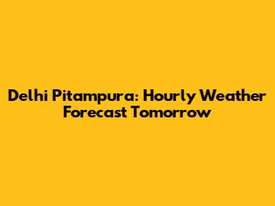 Delhi Pitampura: Hourly Weather Forecast Tomorrow