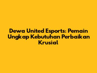 Dewa United Esports: Pemain Ungkap Kebutuhan Perbaikan Krusial