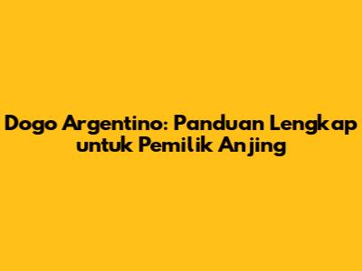 Dogo Argentino: Panduan Lengkap untuk Pemilik Anjing