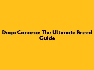 Dogo Canario: The Ultimate Breed Guide