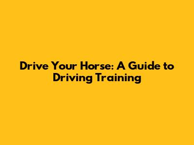 Drive Your Horse: A Guide to Driving Training