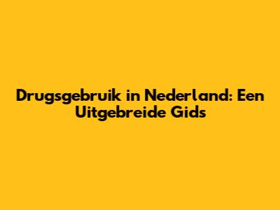 Drugsgebruik in Nederland: Een Uitgebreide Gids