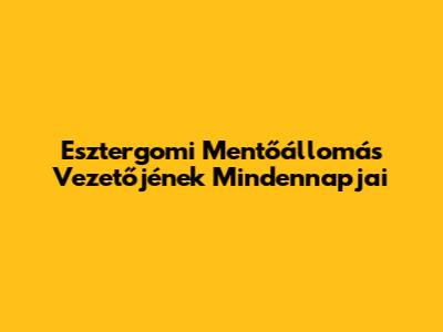 Esztergomi Mentőállomás Vezetőjének Mindennapjai
