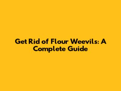 Get Rid of Flour Weevils: A Complete Guide