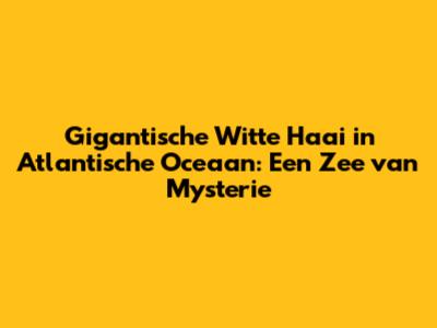 Gigantische Witte Haai in Atlantische Oceaan: Een Zee van Mysterie