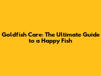 Goldfish Care: The Ultimate Guide to a Happy Fish