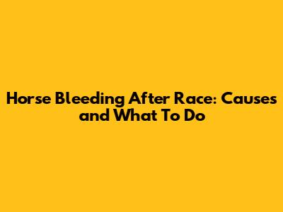 Horse Bleeding After Race: Causes and What To Do