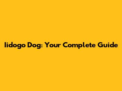 Iidogo Dog: Your Complete Guide