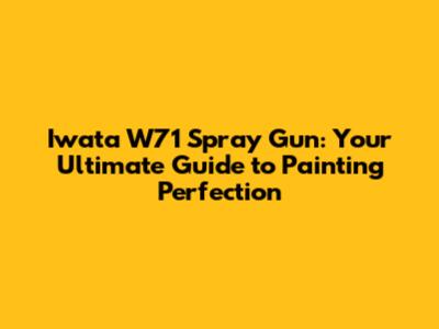 Iwata W71 Spray Gun: Your Ultimate Guide to Painting Perfection