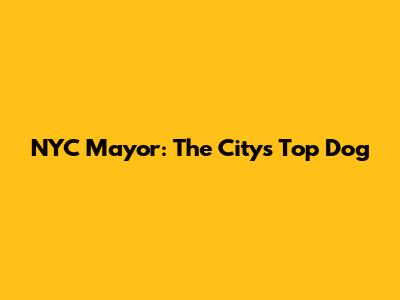 NYC Mayor: The City's Top Dog