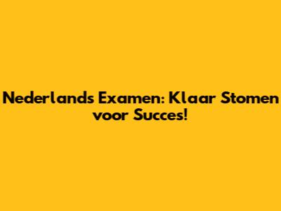 Nederlands Examen: Klaar Stomen voor Succes!