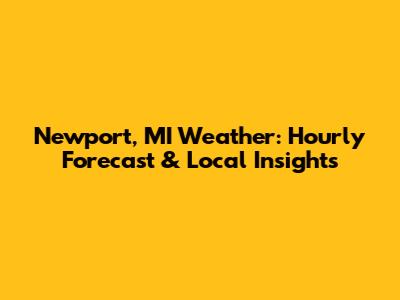 Newport, MI Weather: Hourly Forecast & Local Insights