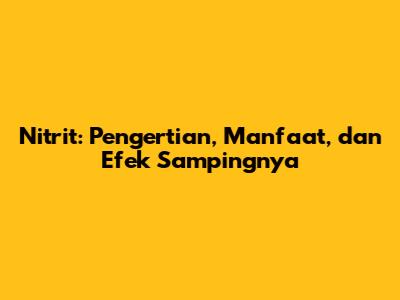 Nitrit: Pengertian, Manfaat, dan Efek Sampingnya