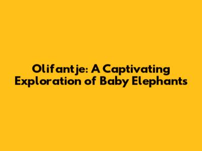 Olifantje: A Captivating Exploration of Baby Elephants