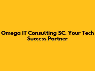 Omega IT Consulting SC: Your Tech Success Partner