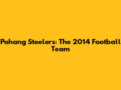 Pohang Steelers: The 2014 Football Team