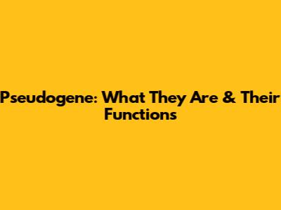Pseudogene: What They Are & Their Functions