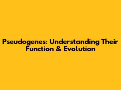Pseudogenes: Understanding Their Function & Evolution