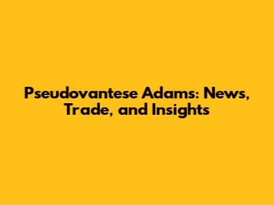 Pseudovantese Adams: News, Trade, and Insights