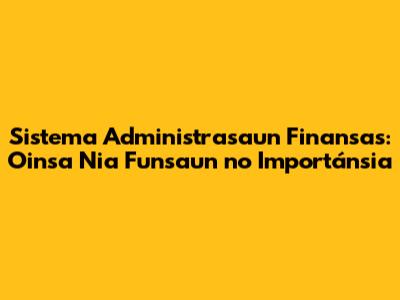 Sistema Administrasaun Finansas: Oinsa Nia Funsaun no Importánsia