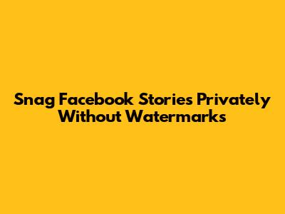 Snag Facebook Stories Privately Without Watermarks