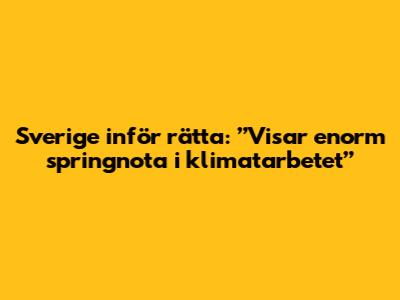 Sverige inför rätta: ”Visar enorm springnota i klimatarbetet”