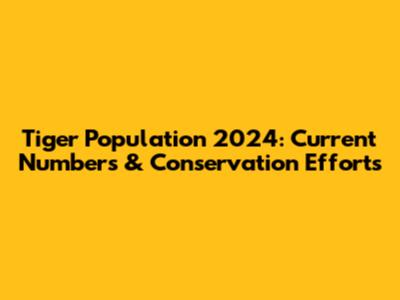 Tiger Population 2024: Current Numbers & Conservation Efforts
