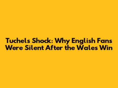 Tuchel's Shock: Why English Fans Were Silent After the Wales Win