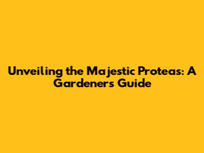 Unveiling the Majestic Proteas: A Gardener's Guide