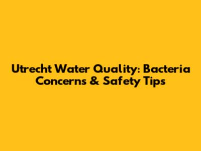 Utrecht Water Quality: Bacteria Concerns & Safety Tips