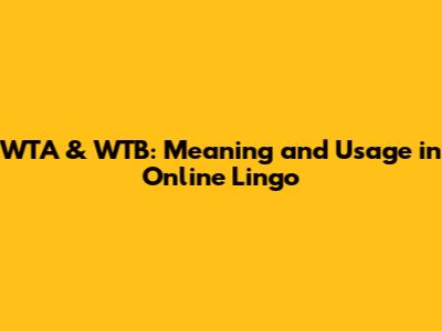 WTA & WTB: Meaning and Usage in Online Lingo