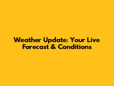Weather Update: Your Live Forecast & Conditions