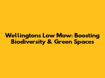 Wellington's Low Mow: Boosting Biodiversity & Green Spaces